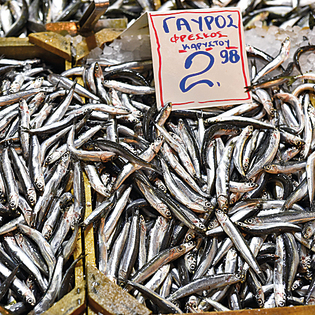 דגים בשוק המקומי | צילום: צביקי עשת