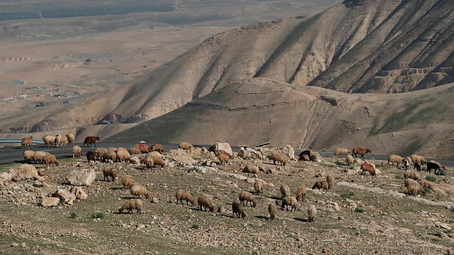 Area of land near Jericho that Israel plans to appropriate (Photo: Reuters)