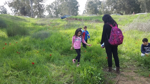 צילום: רועי עידן
