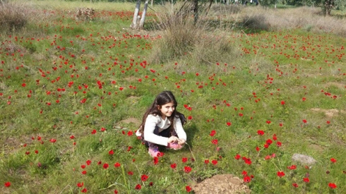 צילום: נעמה עייש
