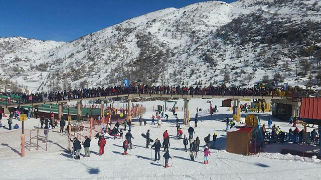 A long line of skiiers on Mount Hermon (Courtesy)