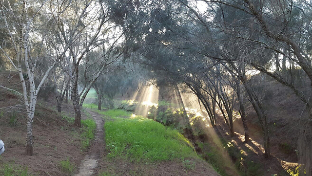 Hiking near Kibbutz Dorot (Photo: Aryeh Gratziyano)