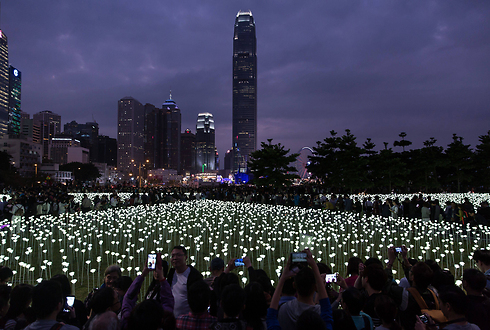 בהונג קונג הציבו 25 אלף נורות בצורת ורד במרכז העיר (צילום: AFP) (צילום: AFP)
