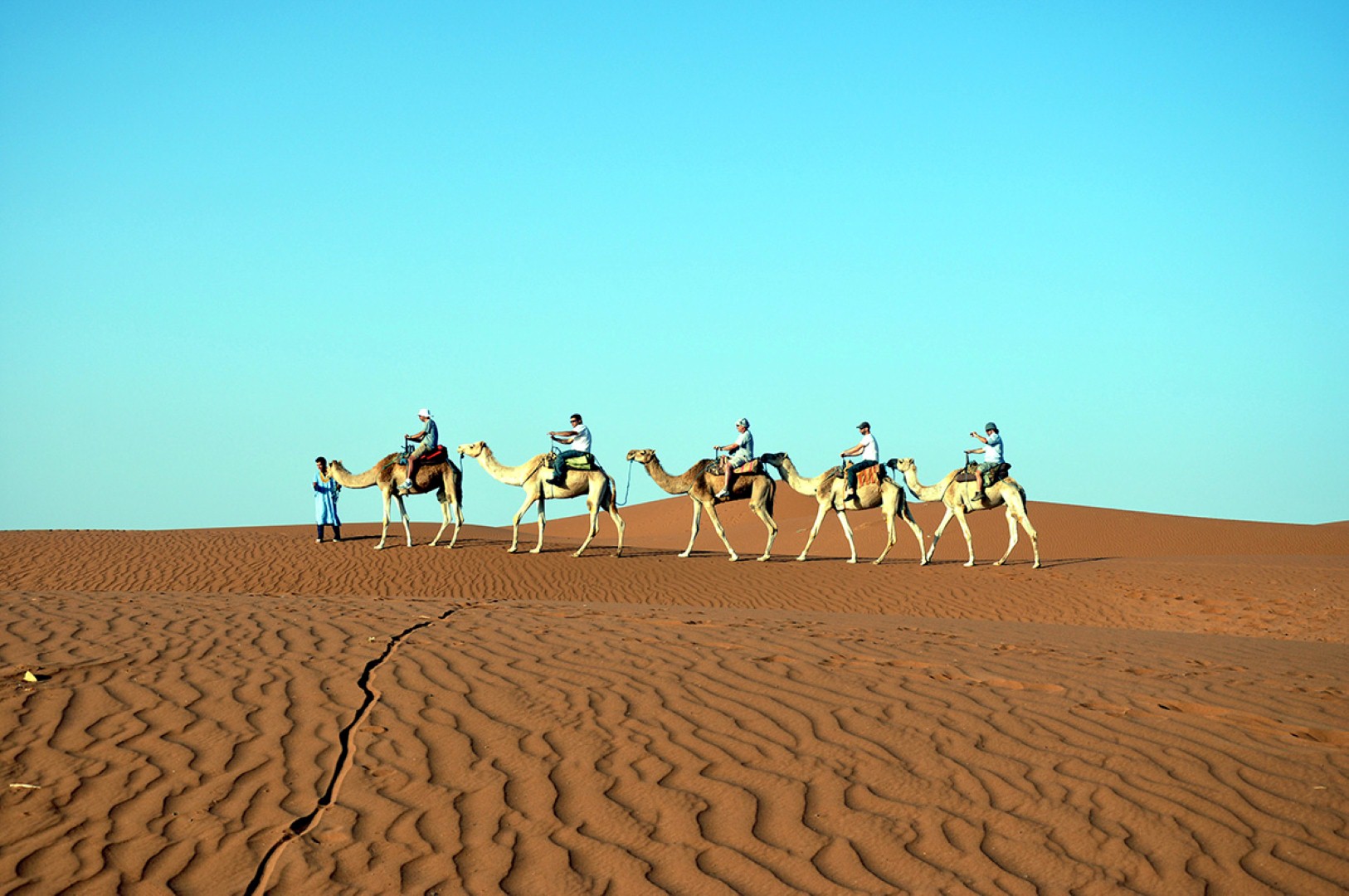 לטייל על גבי שיירות גמלים (צילום: דודו אדרי) (צילום: דודו אדרי)