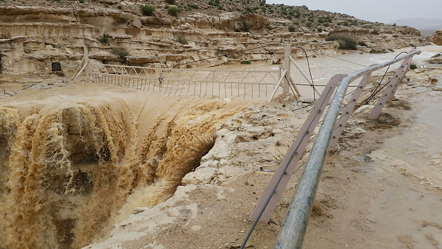 צילום: הרצל יוסף צילום: הרצל יוסף