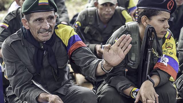 המורדים הקולומביאנים בשיעורים על הסכם השלום (צילום: AFP) (צילום: AFP)