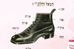 צילום: באדיבות האקדמיה ללשון העברית