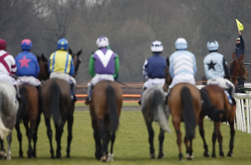 צילום: GettyImages צילום: GettyImages