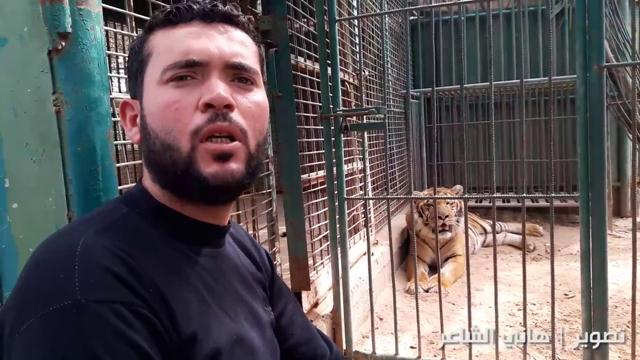 מוחמד עווידה. מנסה למכור את גן החיות עם בעלי חיים שעדיין לא מתו כתוצאה מהתנאים הקשים במקום ()