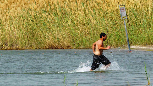 Israelis bathing in the Kinneret (Photo: Kinneret Authority)
