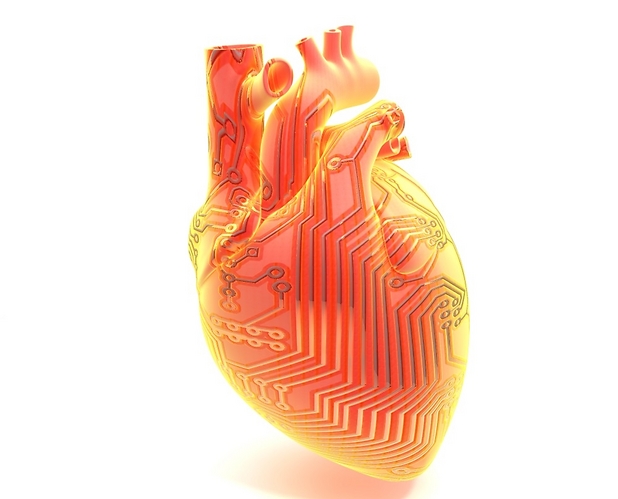 לב חי ביוני אשר מופעל מהמחשב. הלב המהונדס מכיל תאי שריר לב חיים, פולימרים ומערכת מורכבת של ננו-אלקטרוניקה אשר מקנה לו יכולות משופרות כגון ניטור התכווצותו בזמן אמת, ובעת הצורך מתן סטימולציה חשמלית לקיצוב. בנוסף, האלקטרוניקה בלב המהונדס מאפשרת שחרור תרופות בצורה מבוקרת, לדוגמא חלבונים אשר מושכים תאי גזע, או תרופות אנטי דלקתיות לשיפור קליטת השתל (באדיבות טל דביר ורון פיינר)