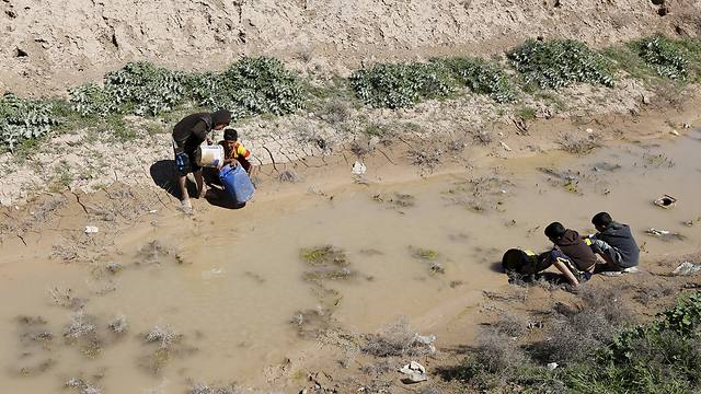 צפונית לבגדד: הילדים לוקחים מים מהביצה (צילום: רויטרס) (צילום: רויטרס)