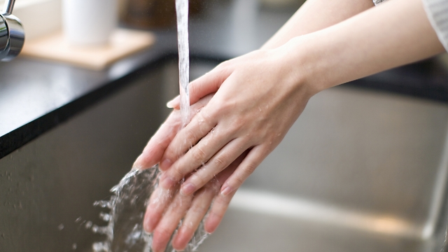 לרחוץ ידיים במים וסבון לפני ואחרי הכנת האוכל (צילום: shutterstock) (צילום: shutterstock)