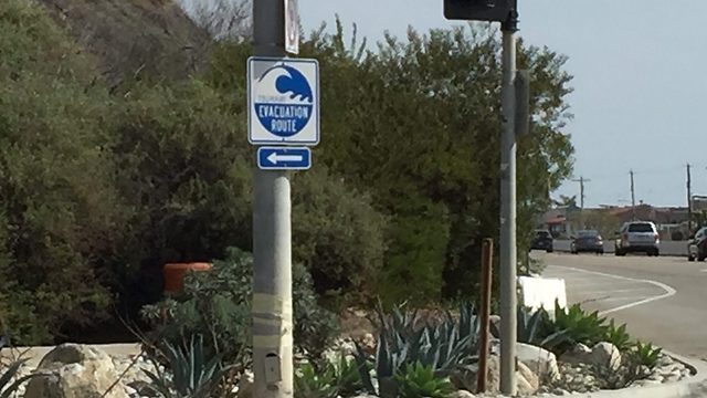 כך זה נראה בעולם: שלט אזהרת צונאמי בקליפורניה (צילום: דיאנה חננשווילי, משרד הביטחון) (צילום: דיאנה חננשווילי, משרד הביטחון)