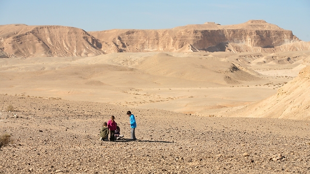 הנוף בערבה (צילום: ליהי אבידן) (צילום: ליהי אבידן)