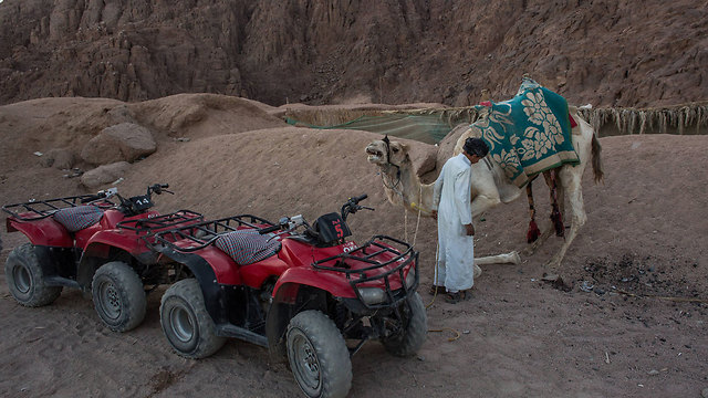 ילד שמציע סיור גמלים מחכה לתיירים (צילום: getty images) (צילום: getty images)