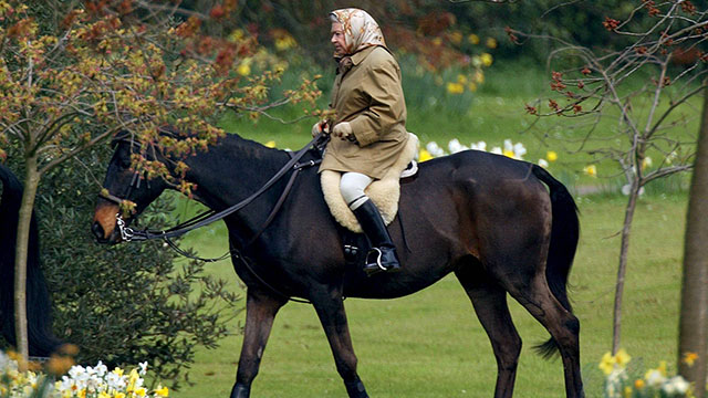 רוכבת מתמידה. המלכה על הסוס (צילום: רויטרס) (צילום: רויטרס)