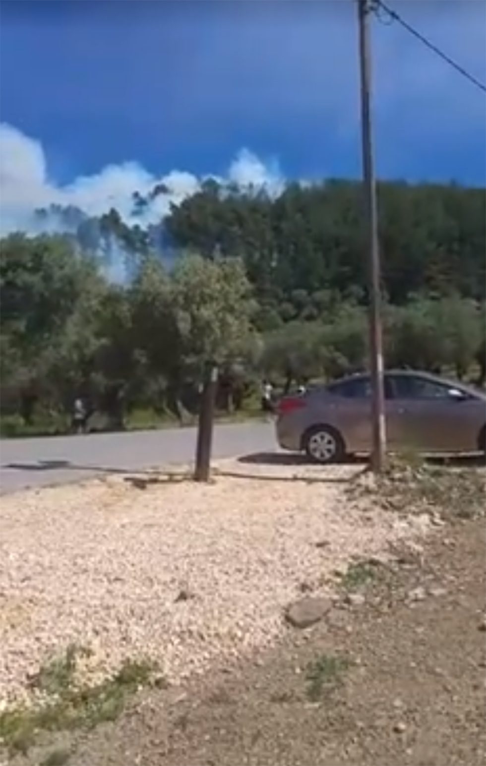 עשרות דונמים כבר נשרפו. אזור השריפה ביער ביריה (צילום: ירושה ולוטקר, חדשות בזמן בפייסבוק) (צילום: ירושה ולוטקר, חדשות בזמן בפייסבוק)
