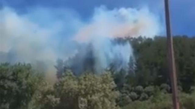 Fire at Biriya Forest (Photo: Yerusha Vlotker)
