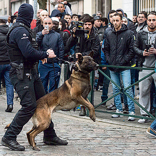 שוטר מול מפגינים מוסלמים בבלגיה. סנסל: "אנחנו נגררים לפתרונות גרועים של ימין קיצוני"