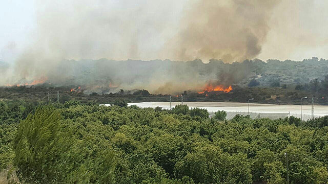 כ-10 צוותי כיבוי הוזעקו לשריפה ליד שלומי (צילום: דוברות כיבוי אש והצלה מחוז חוף) (צילום: דוברות כיבוי אש והצלה מחוז חוף)