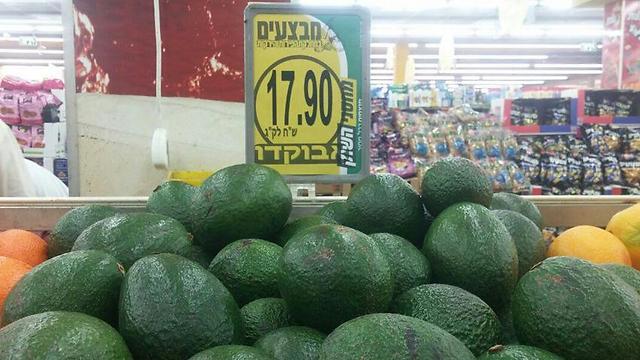 Avocados (Photo: Barel Efraim)