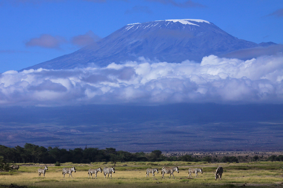 הכי גבוה באפריקה! הר הקלמינג'רו (צילום: shutterstock) (צילום: shutterstock)