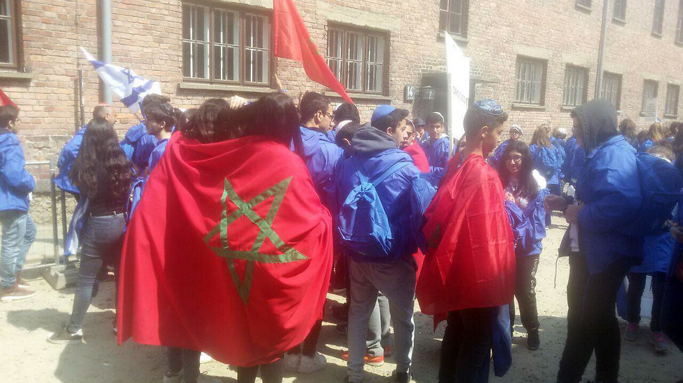 עטופים בדגל מרוקו במצעד החיים (צילום: אמיר אלון) (צילום: אמיר אלון)