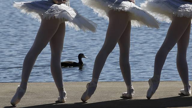 רקדניות בלט בהופעה באגם פנרית' ליד סידני וברקע ברווז שט במי האגם (צילום: AP) (צילום: AP)