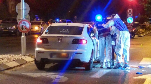 צילום: אלי סגל