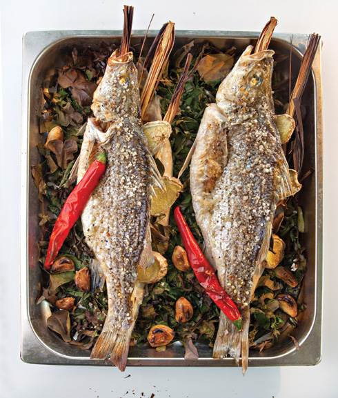 צילום: שי נייבורג צילום: שי נייבורג