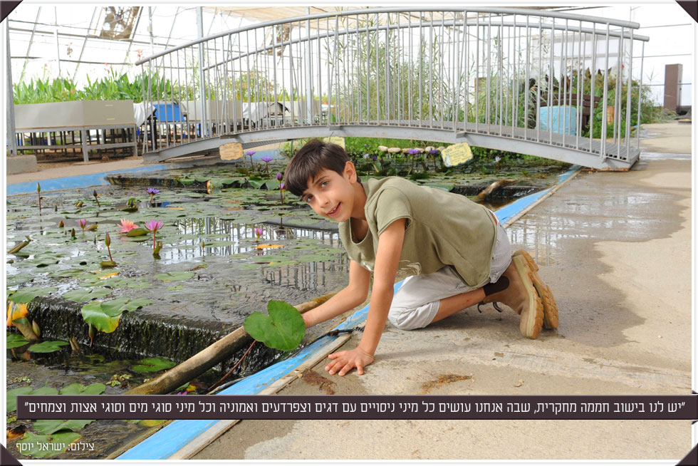   (צילום: ישראל יוסף)