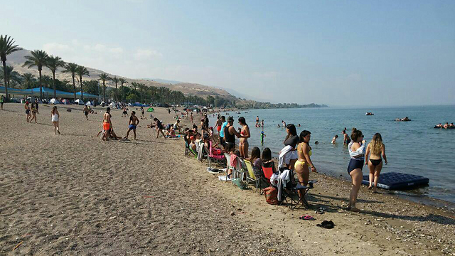 The shores of the Sea of Galilee (Photo: Kinneret Authority)