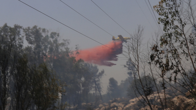 שריפה שפרצה מוקדם יותר במושב אוריה (צילום: עפר מאיר) (צילום: עפר מאיר)