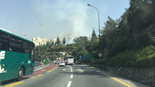 שריפה בכניסה לירושלים (צילום: אורן רוזנפלד) (צילום: אורן רוזנפלד)