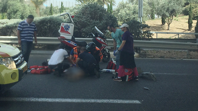זירת התאונה בכניסה לחיפה (צילום: דינה אלפסי) (צילום: דינה אלפסי)