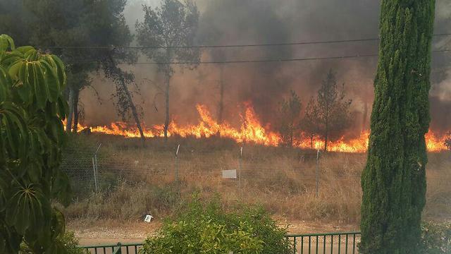 השריפה ליד הבתים באלעד. הושגה שליטה על האש ()