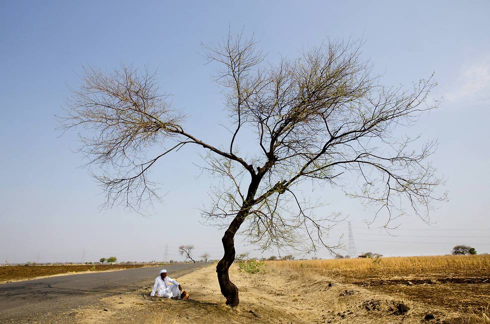 "הטמפרטורה הכי גבוהה שנמדדה אי פעם". גבר הודי מחפש צל (צילום: AP) (צילום: AP)