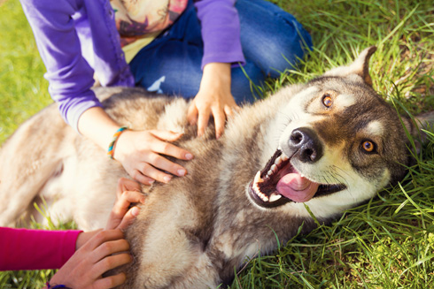 "האם לבעלי חיים יש אהבה? כמובן שלא, כי אין להם שפה" (צילום: Shutterstock)