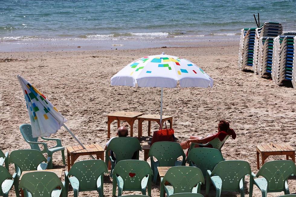 החוף מכמורת, השמשיות תל אביב, היום (צילום: דנה קופל) (צילום: דנה קופל)