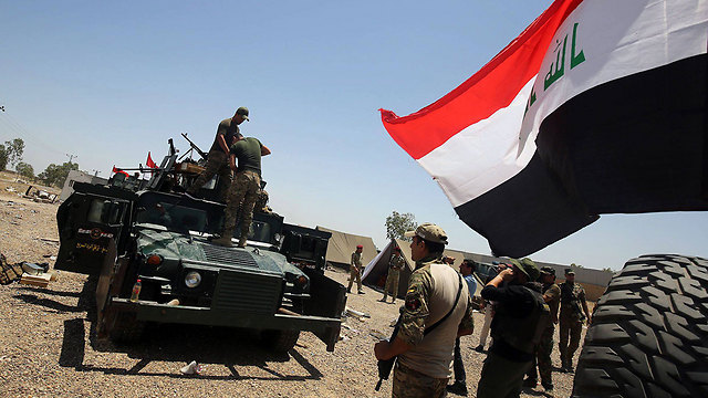 כוחות עיראקיים תופסים עמדות ליד פלוג'ה (צילום: AFP) (צילום: AFP)