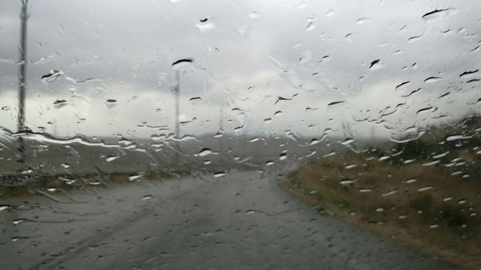 גשם באורנית (צילום: גיא לוי) (צילום: גיא לוי)