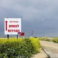 כרמי גת. עושים כבוד לנשים
