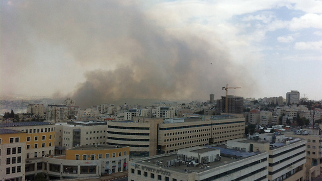 Fire near Ramot in Jerusalem (Photo: Netanel Hadad)