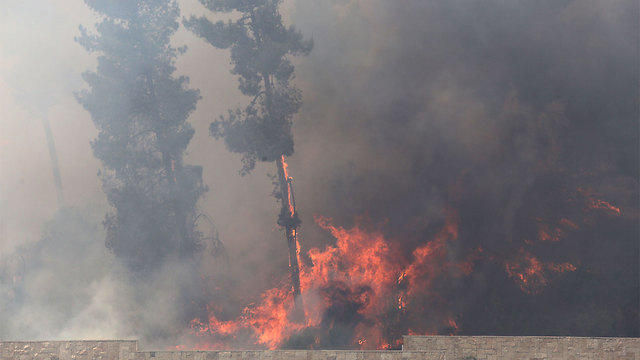 Fire blazing in Ramot (Photo: Gil Yohanan)