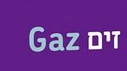 זים GAZ