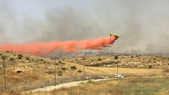 Firefighting plane in Lachish (Photo: Sigal Noy) (Photo: Sigal Noy)