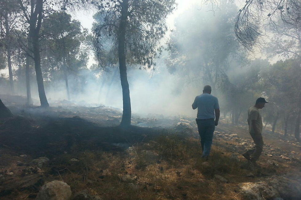 Fire near Afula (Photo: Kalil Hadar, KKL)