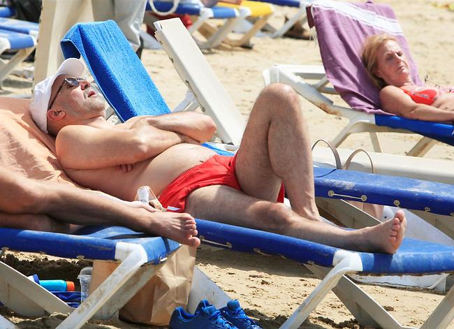 צילום: מוטי לבטון