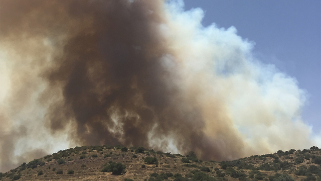 צילום: גיא ערן